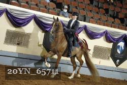 20YN_65711 thumbnail