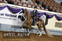 20YN_65712 thumbnail