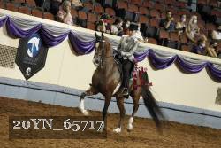 20YN_65717 thumbnail