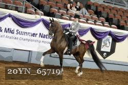20YN_65719 thumbnail
