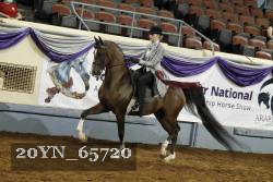20YN_65720 thumbnail