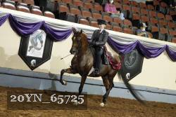 20YN_65725 thumbnail
