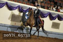 20YN_65732 thumbnail