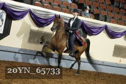 20YN_65733 thumbnail