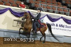 20YN_65735 thumbnail