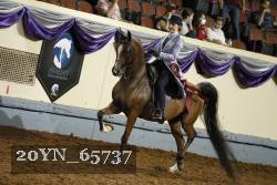 20YN_65737 thumbnail