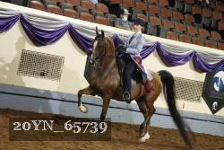 20YN_65739 thumbnail