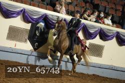 20YN_65743 thumbnail