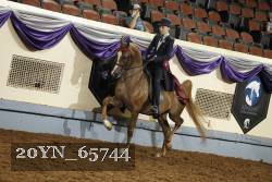 20YN_65744 thumbnail