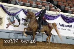 20YN_65746 thumbnail