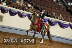 20YN_65763 thumbnail