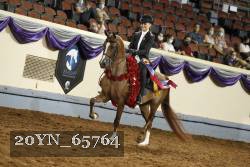 20YN_65764 thumbnail
