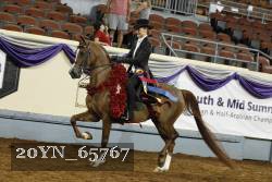 20YN_65767 thumbnail