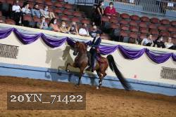 20YN_71422 thumbnail