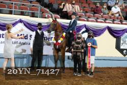 20YN_71427 thumbnail