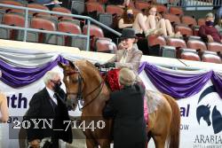 20YN_71440 thumbnail