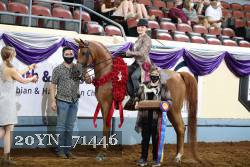 20YN_71446 thumbnail