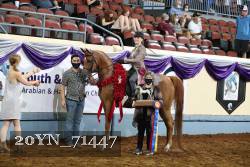 20YN_71447 thumbnail