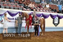 20YN_71448 thumbnail