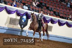 20YN_71455 thumbnail