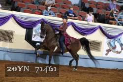 20YN_71461 thumbnail