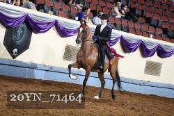 20YN_71464 thumbnail