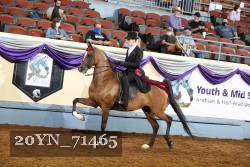 20YN_71465 thumbnail