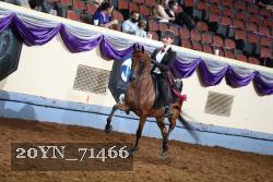 20YN_71466 thumbnail