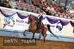 20YN_71468 thumbnail