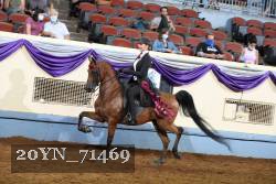 20YN_71469 thumbnail