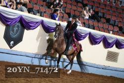 20YN_71472 thumbnail