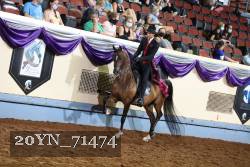 20YN_71474 thumbnail