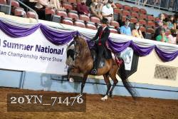 20YN_71476 thumbnail