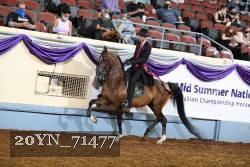 20YN_71477 thumbnail