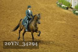 20YN_34294 thumbnail