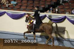 20YN_26040 thumbnail