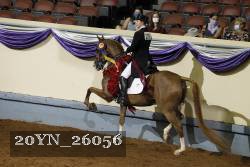 20YN_26056 thumbnail