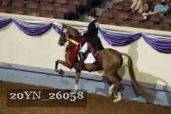 20YN_26058 thumbnail