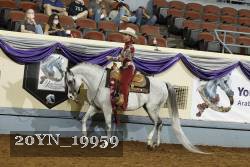 20YN_19959 thumbnail