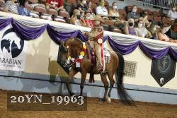 20YN_19963 thumbnail