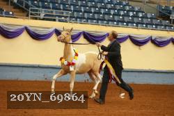 20YN_69864 thumbnail