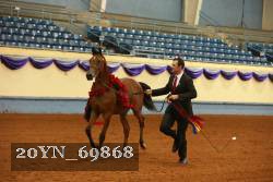 20YN_69868 thumbnail