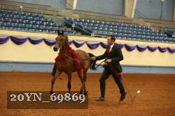 20YN_69869 thumbnail