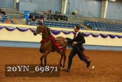 20YN_69871 thumbnail