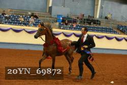 20YN_69872 thumbnail