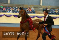 20YN_69873 thumbnail