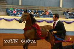 20YN_69874 thumbnail