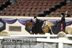 20YN_30208 thumbnail