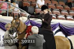 20YN_30211 thumbnail