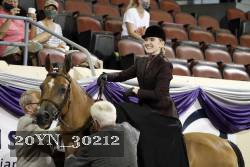 20YN_30212 thumbnail
